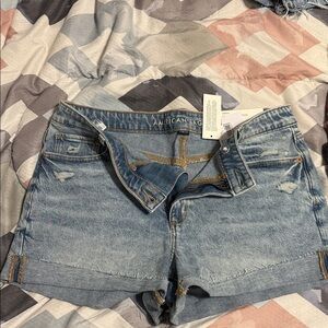 American Eagle Outfitters Light Blue Jean Shorts